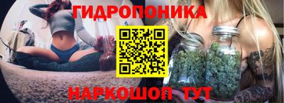 мдма Новодвинск