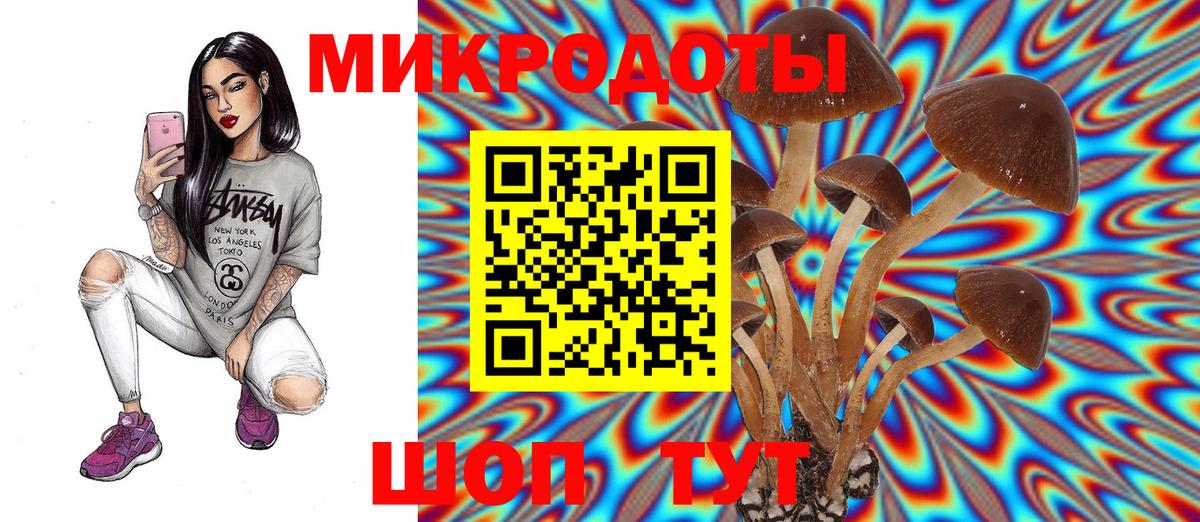 Псилоцибиновые грибы Psilocybine cubensis Солнечногорск