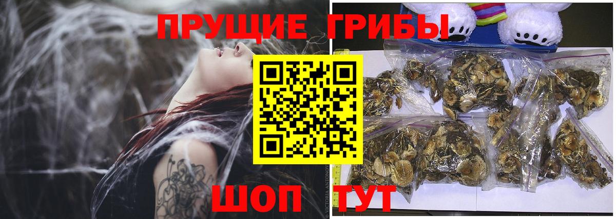 что такое наркотик  Галлюциногенные грибы ЛСД  Вход с VPN  Солнечногорск 